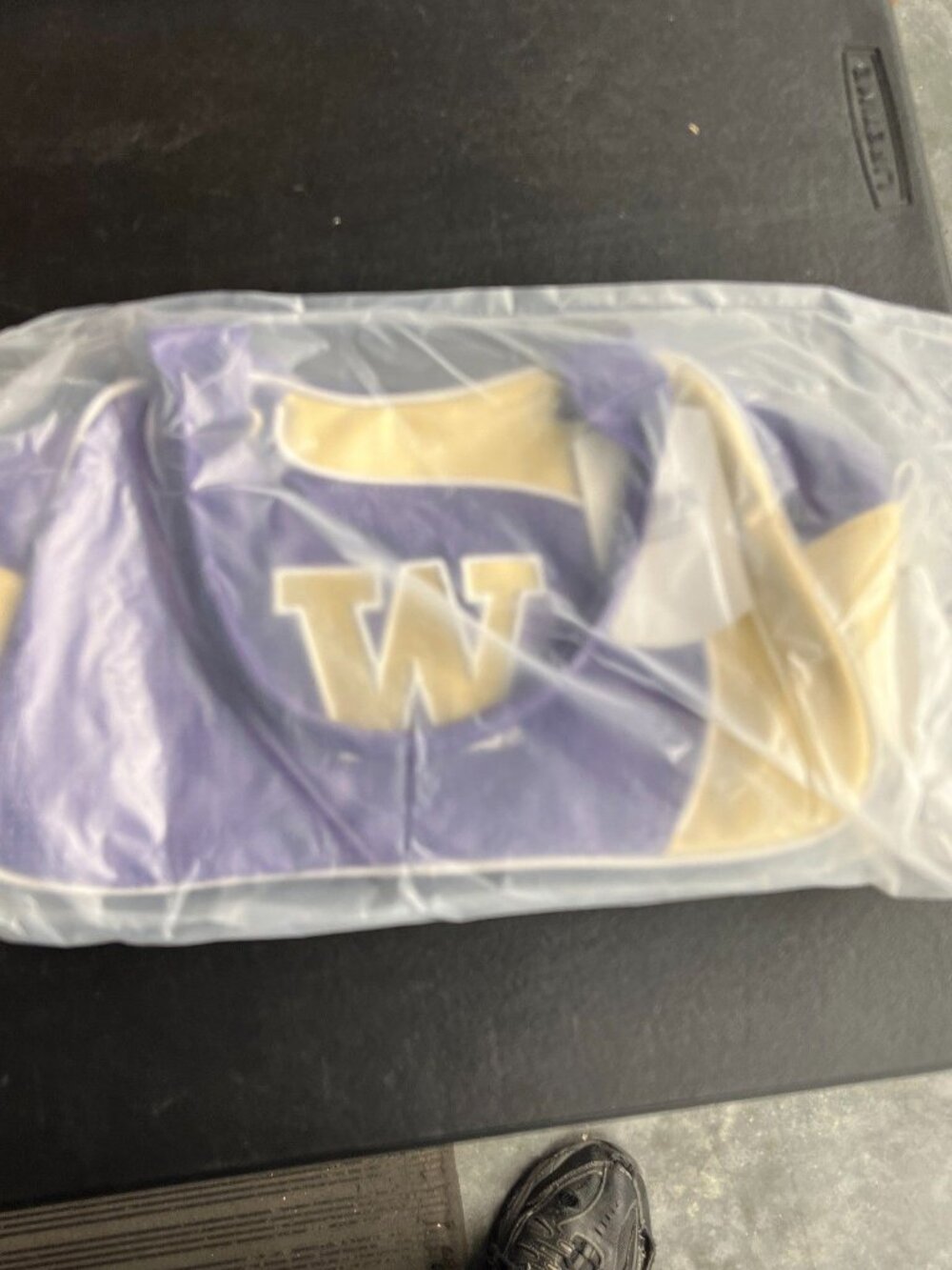 Washington Huskies Purse Handbag Bowler Fashion Zipper NCAA Official 13x7 - Picture 4 of 6
